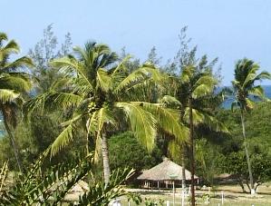 Camping Coconut Bay